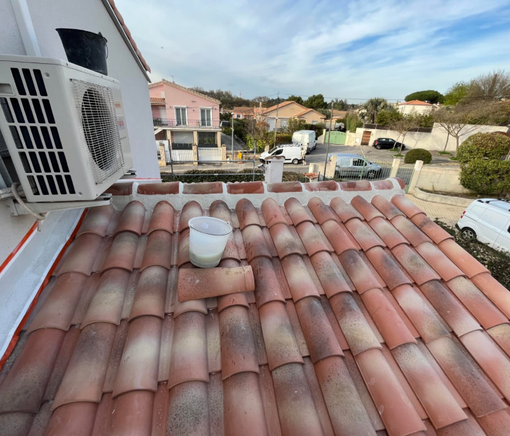 Résultat après démoussage à Talence toiture propre et sans végétation